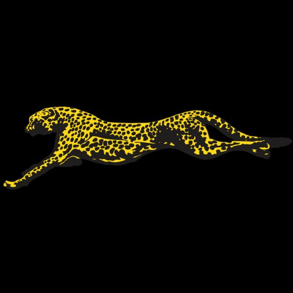 AR CHEETAH 12 RC Thumbnail