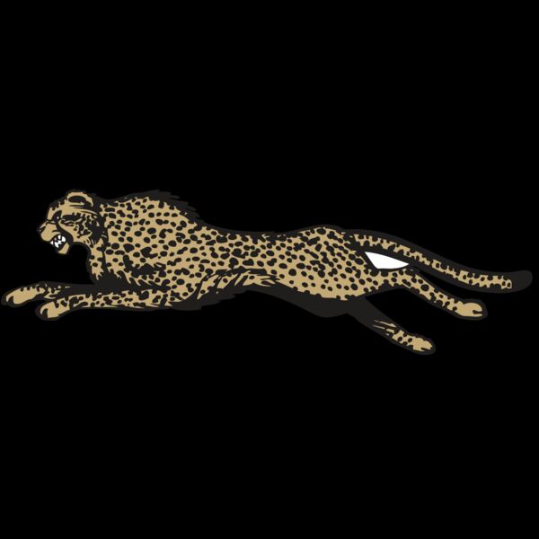 BAW CHEETAH 01 RC Thumbnail