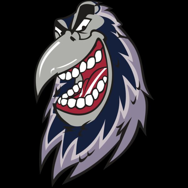 RAVEN HD0503 RQC Thumbnail