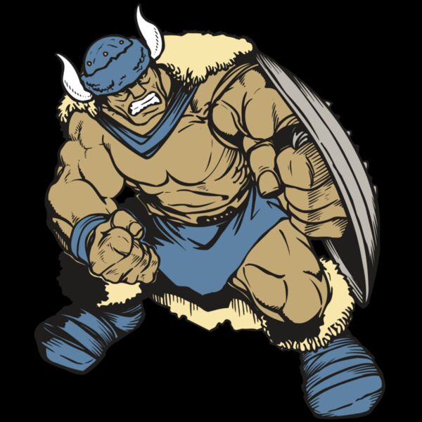 AR VIKING 36 RC Thumbnail